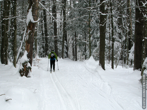 Classic cross-country skiing at Catamount Outdoor Center. Classic cross-country skiing at Catamount Outdoor Center.