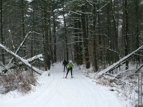 Skate skiers at Catamount. Skate skiers at Catamount.