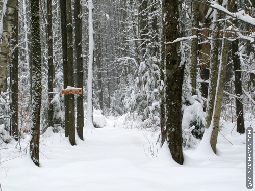 A snowy trail called Pure Bliss. A snowy trail called Pure Bliss.