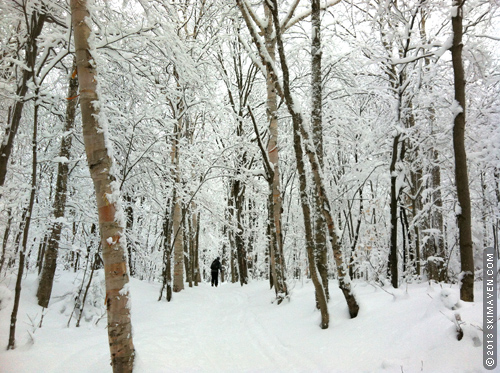 Glorious snow all around us as we climbed. Glorious snow all around us as we climbed.