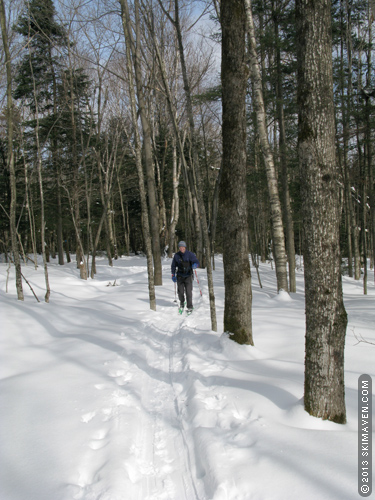 Skiing in Stowe's Sterling Forest Skiing in Stowe's Sterling Forest